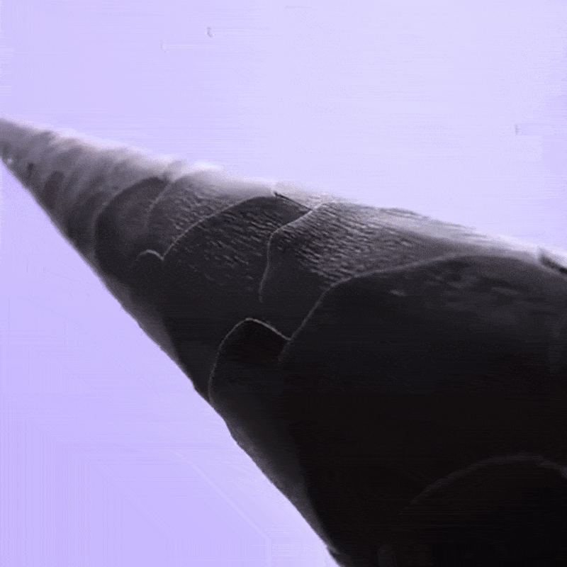 Magic Ionic Styling Brush