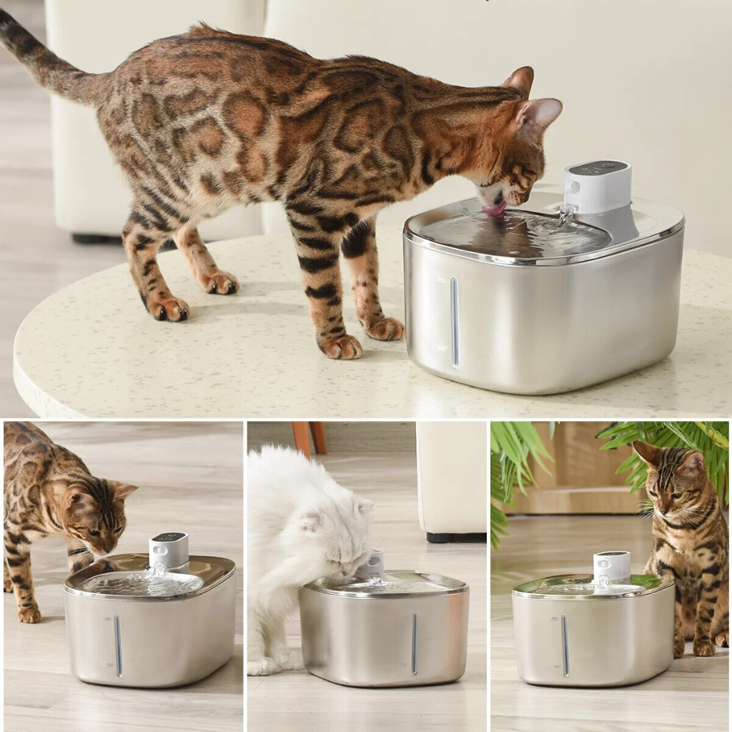 Kitty Spout Wireless Water Fountain