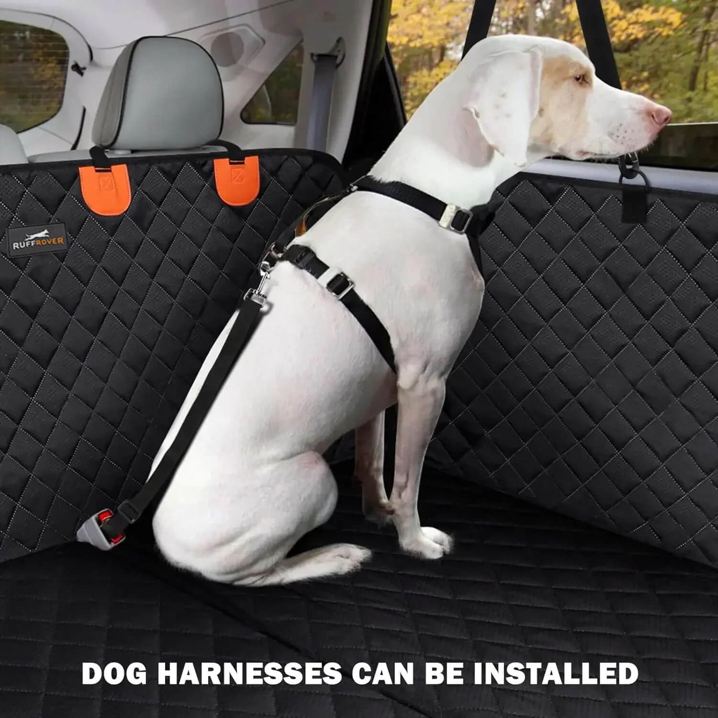 Pet Protector Seat Mat