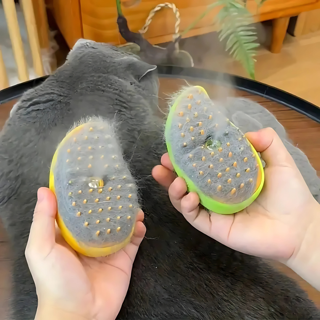 Cat Spa Steamer Brush