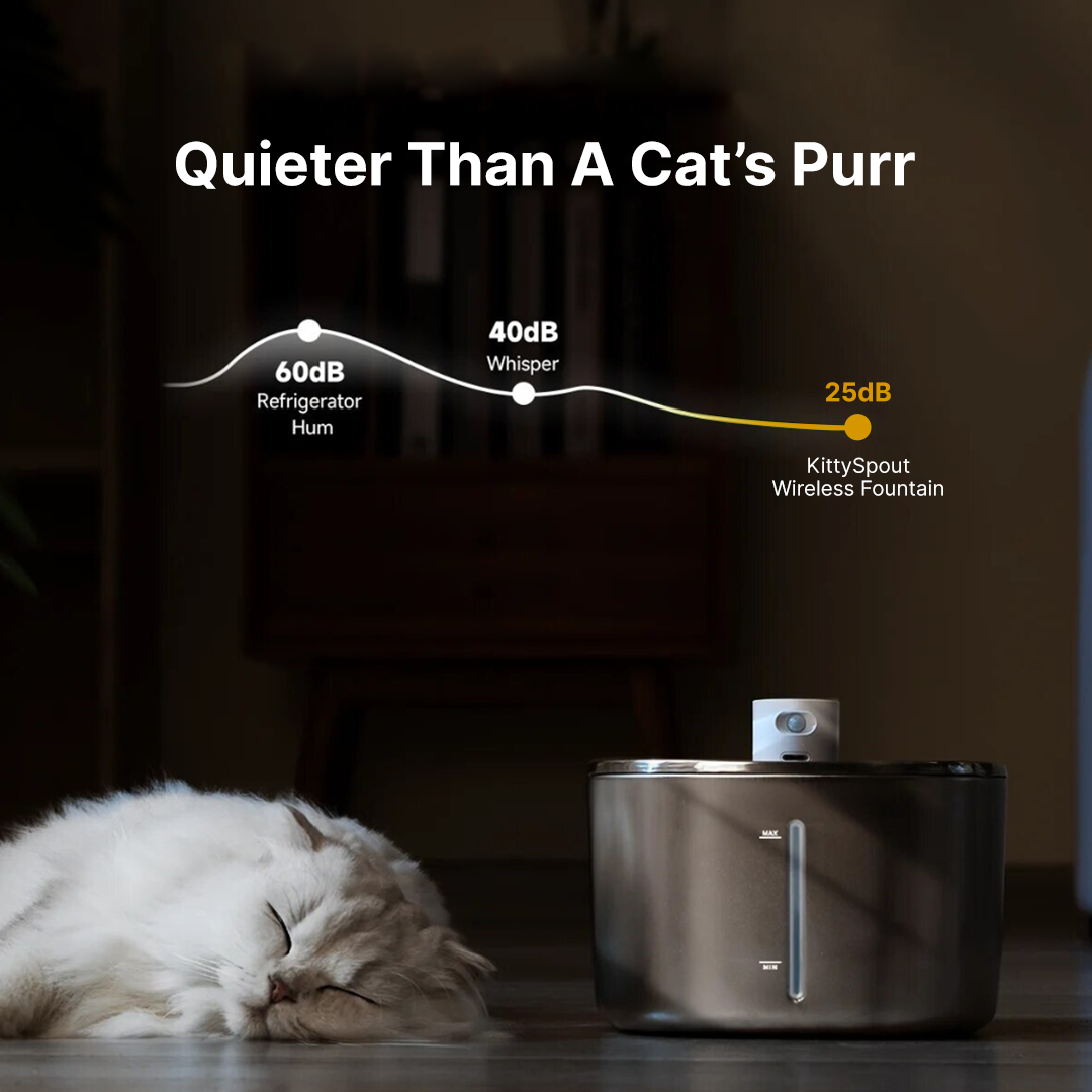Kitty Spout Wireless Water Fountain