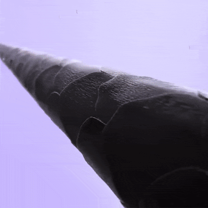 Magic Ionic Styling Brush