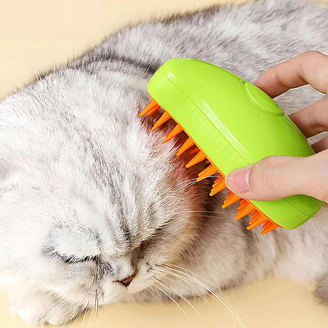 Cat Spa Steamer Brush