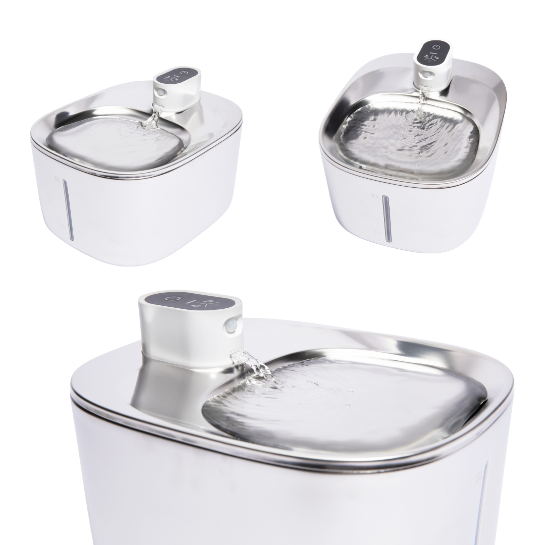 Kitty Spout Wireless Water Fountain