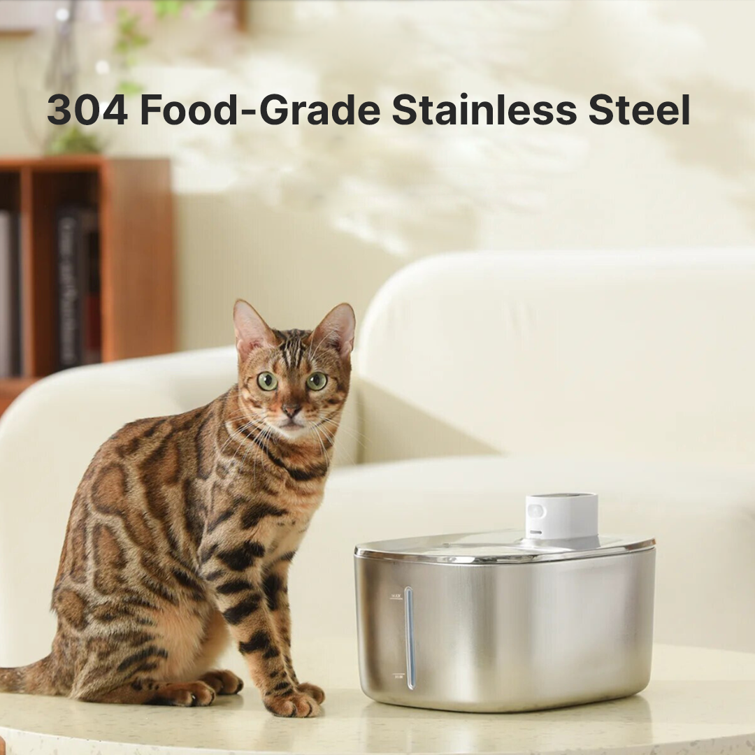 Kitty Spout Wireless Water Fountain