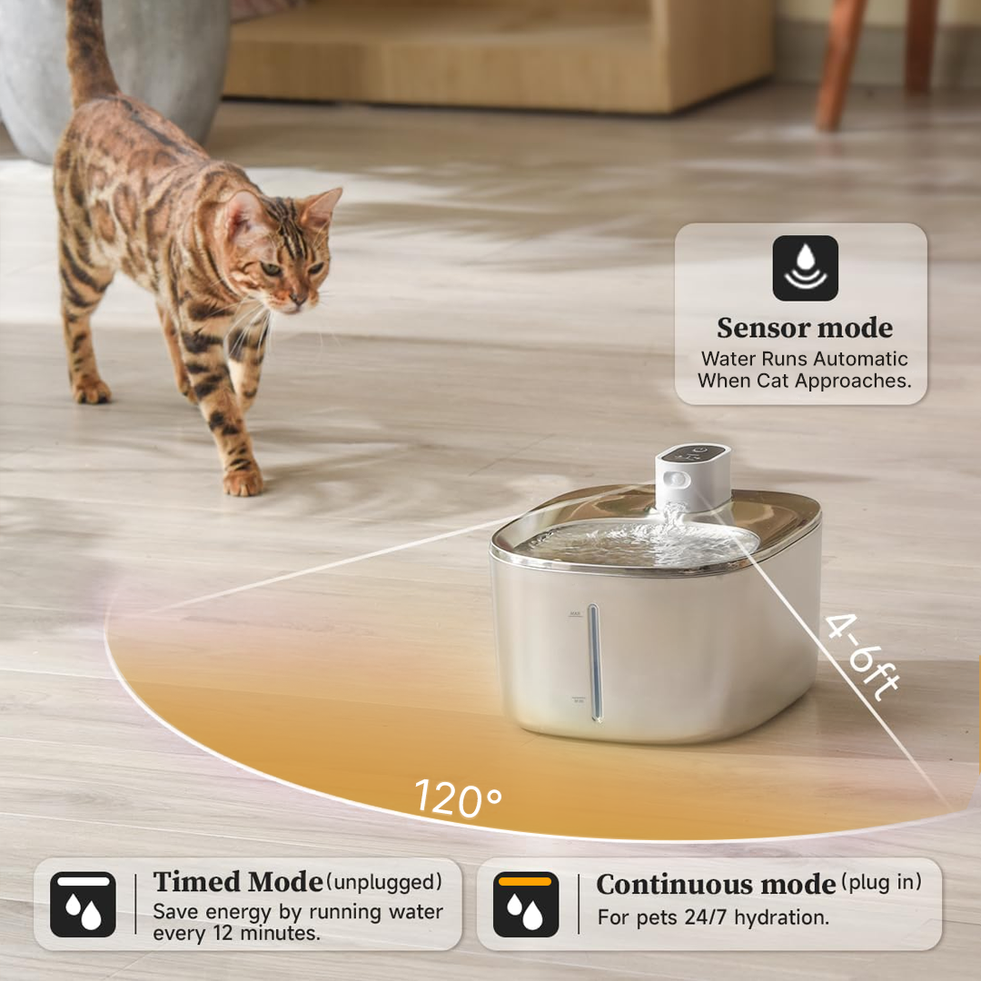 Kitty Spout Wireless Water Fountain